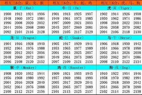 95年什么命|1995年属什么生肖 1995年属什么的生肖